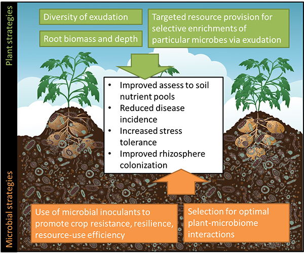 project scheme