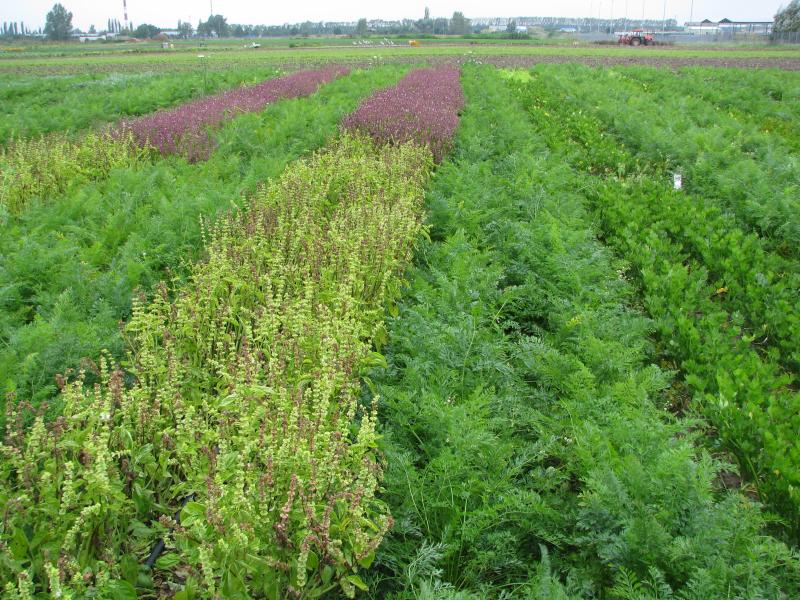 Picture Project BioHortiTech
