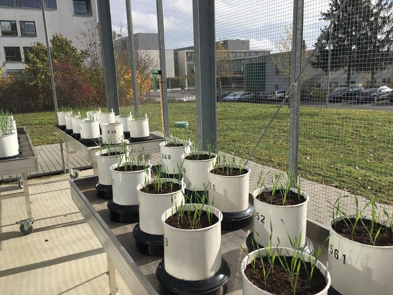 Project BioProtect
